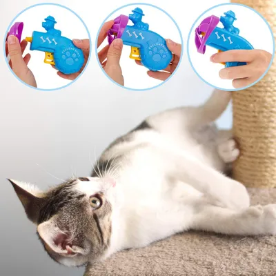 Jouets interactifs de recherche et de suivi pour chats