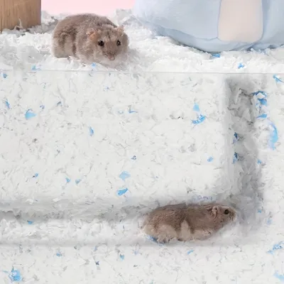 Sciure de litière en papier pour animaux de compagnie, 450 g