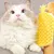 KPYTE Brosse de massage pour chat