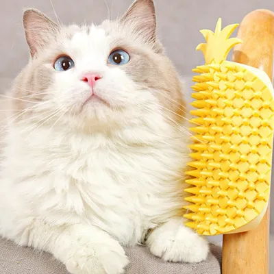 KPYTE Brosse de massage pour chat