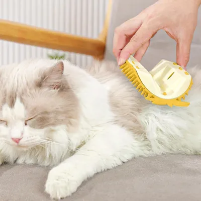 KPYTE Brosse de massage pour chat