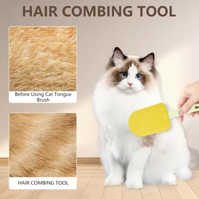 KPYTE Brosse dépilatoire pour chat