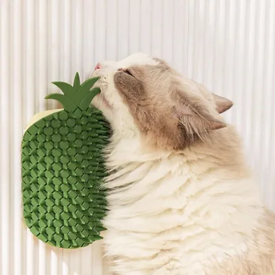 KPYTE Brosse de massage pour chat