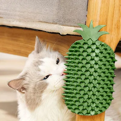 KPYTE Brosse de massage pour chat