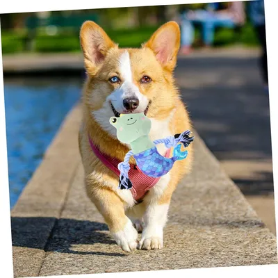 KPYTE Jouet de dentition pour chien en forme de grenouille