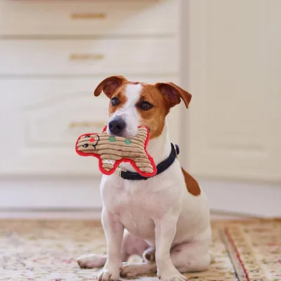 KPYTE Peluche pour chien en forme de bonhomme en pain d'épice