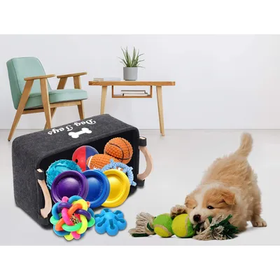 Panier de rangement pour jouets pour chien