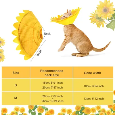 KPYTE Cône de récupération pour chat