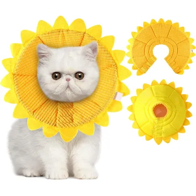 KPYTE Cône de récupération pour chat