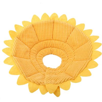 KPYTE Cône de récupération pour chat