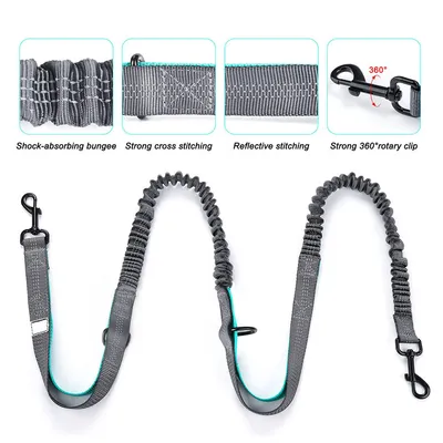 Laisse pour chien mains libres avec pochette zippée