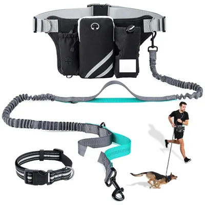 Laisse pour chien mains libres avec pochette zippée