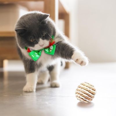 KPYTE Boîte aveugle de compte à rebours de chat de Noël