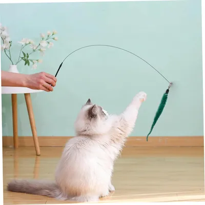 KPYTE Boîte aveugle de compte à rebours de chat de Noël