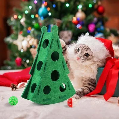 KPYTE Jouet pour chat en feutre avec boîte labyrinthe