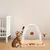 Griffoir en bois pour chat avec piste à billes rotative, jouet interactif