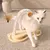 Griffoir en bois pour chat avec piste à billes rotative, jouet interactif