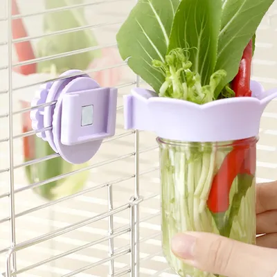 Bouteille hydroponique Parrot, Fournisseur de légumes