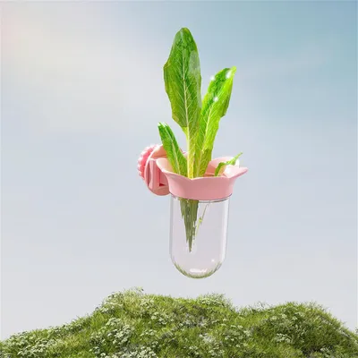 Bouteille hydroponique Parrot, Fournisseur de légumes