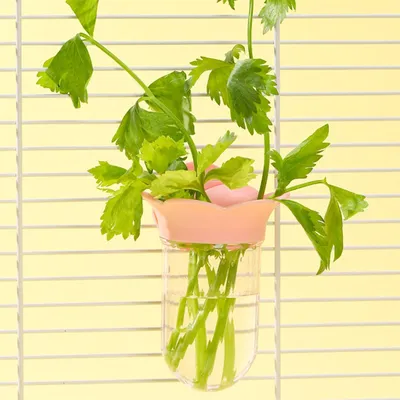 Bouteille hydroponique Parrot, Fournisseur de légumes