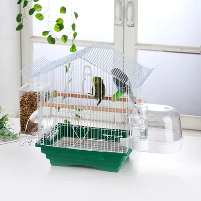 Mangeoire automatique pour cage à oiseaux