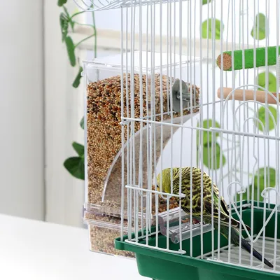 UAMLY Comedero automático para pájaros