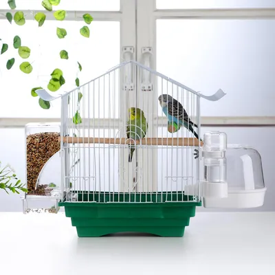 Mangeoire automatique pour cage à oiseaux