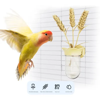 UAMLY Botella hidropónica Parrot, proveedor de verduras