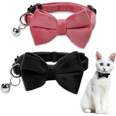 KPYTE Collier à nœud pour chat