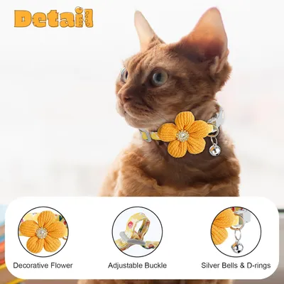 KPYTE Collier réglable pour chat