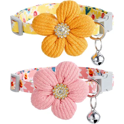 KPYTE Collier réglable pour chat
