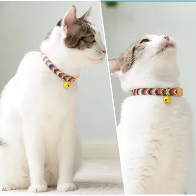KPYTE Collier pour chat avec clochette