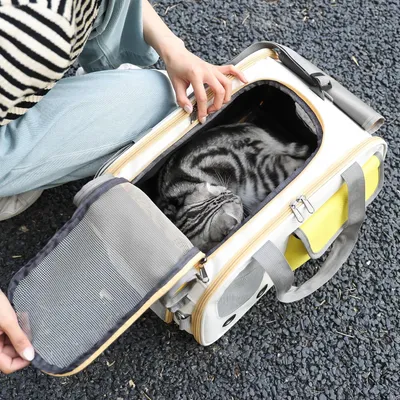 KPYTE Sac à main pliable pour chat