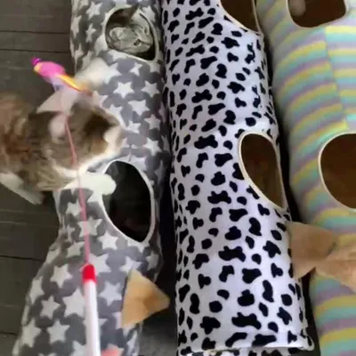 UAMLY Jouet tubulaire en peluche pour animaux de compagnie, Étoile