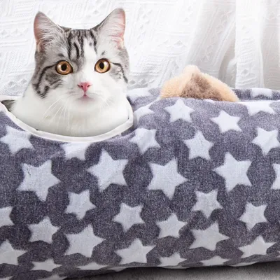 Jouet tubulaire en peluche pour animaux de compagnie, forme de coeur