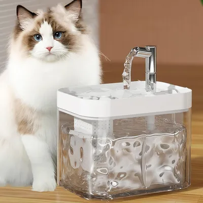 KPYTE Distributeur d'eau pour chat