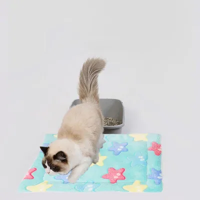 Coussin chauffant pour chat