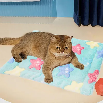 Coussin chauffant pour chat