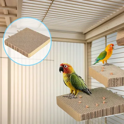 UAMLY Plataforma para pájaros