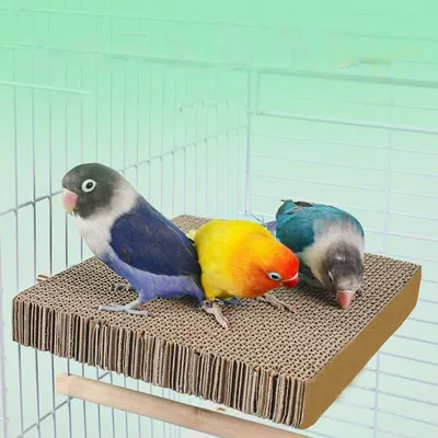 Perchoir pour plate-forme d'oiseaux