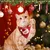 KPYTE Bandana de Noël pour chat et chien