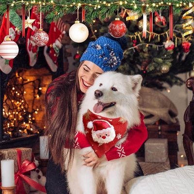 KPYTE Bandana de Noël pour chat et chien