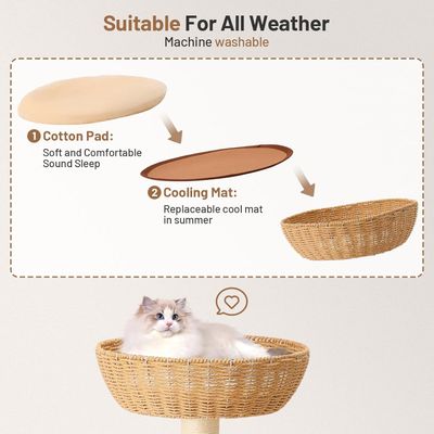 Structure d'escalade pour chat