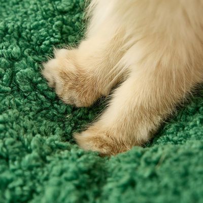 KPYTE Tapis rond doux pour chat de Noël