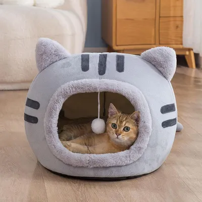 KPYTE Chenil semi-fermé pour chats et chiens