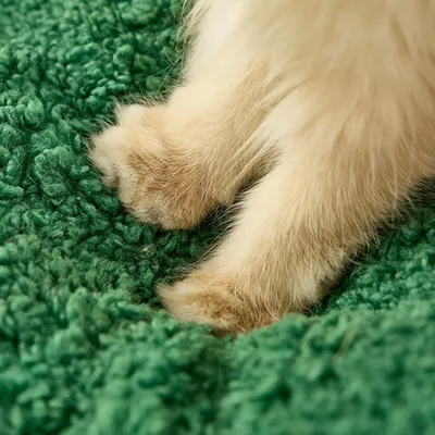 KPYTE Alfombra redonda y suave para gatos con temática navideña