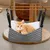 KPYTE Hamac doux pour chat