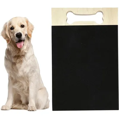 KPYTE Planche à gratter pour chien