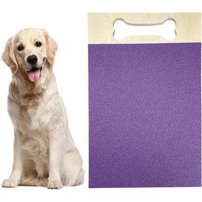 KPYTE Planche à gratter pour chien