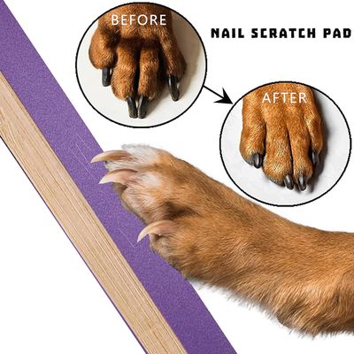 KPYTE Planche à gratter pour chien